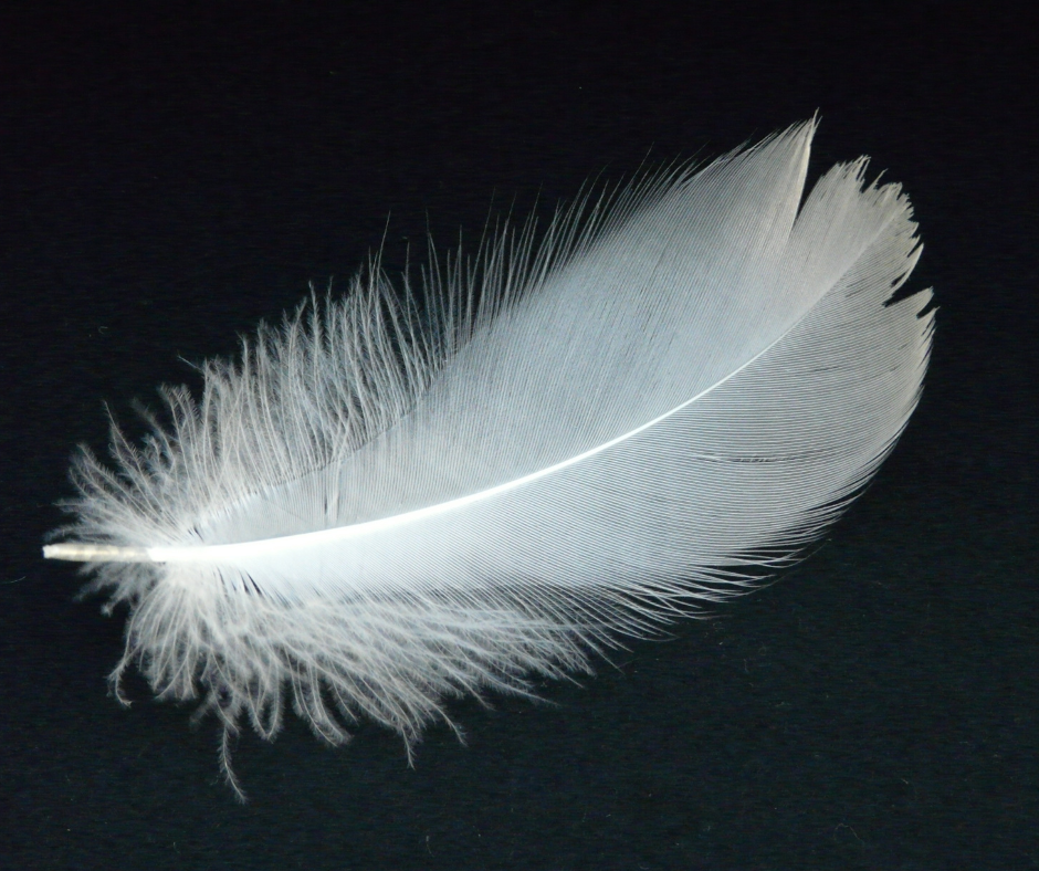 using a feather to show our thin phone case is super light weight